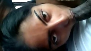 Indian housewife on a picnic sucking her hubby cock in car